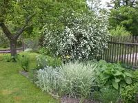Garten 05-3 105.webp