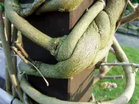DSCF0263.webp