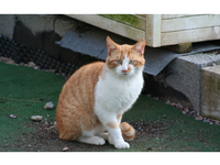 4.webp