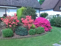 Bild004.webp