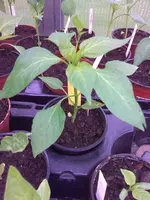 Bild012.webp