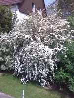 Bild002.webp