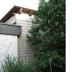 18.05.08 Mauer und Gräser 013.webp