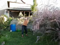 P4250011.webp