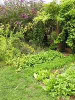 008.webp