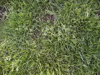 IMG00004.webp