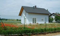 Mohngarten.webp