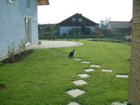 Westseite mit Katze.webp