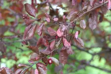 IMG_9642_k.webp