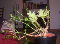 000_0406.webp