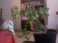 000_0407.webp