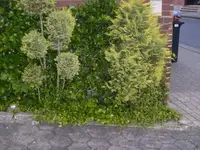 bild009kq5.webp