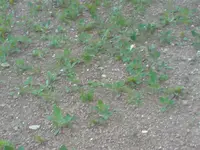 P210508_06.15.webp