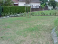 P210508_06.16[01].webp