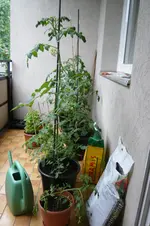 P1020143.webp