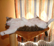 Tiefschlafpunta2.webp