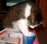 Tasse3.webp