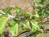 DSCN1963.webp