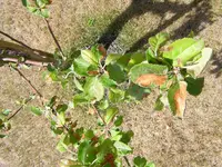 DSCN1965.webp