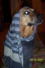 100_7795.webp