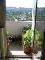 DSCN0321.webp