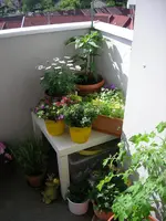 DSCN0322.webp
