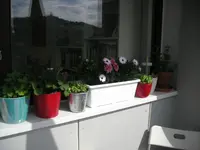 DSCN0325.webp