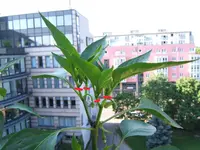 dscf6948yz9.webp dscf6948yz9.webp