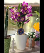 den_5113.webp