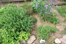Bild 008.webp