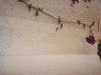 DSC00991.webp