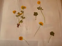 DSC01000.webp