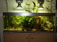 Aquarium.webp