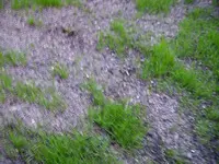 bild1.webp