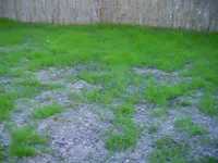 bild2.webp