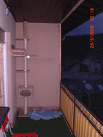 CIMG0545.webp