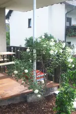 Gartentreppe 008.webp