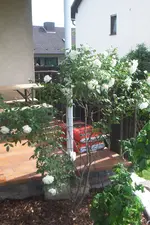 Gartentreppe 007.webp