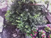 11-01-08_1316.webp