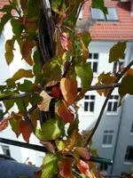 knoeterich-nippelt-ab.webp