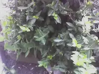 12-01-08_1308.webp