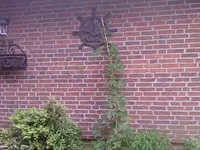 jpg1.webp