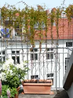 knoeterich-gesamtsituation.webp