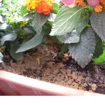 CIMG0192.webp