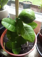K800_S7302622.webp