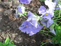 IMG_2303.webp