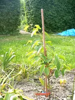 IMAG0301.webp