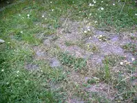 IMAG0302.webp
