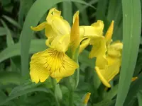 CIMG3614.webp