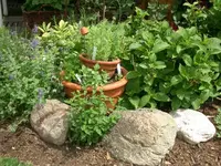 CIMG3631.webp